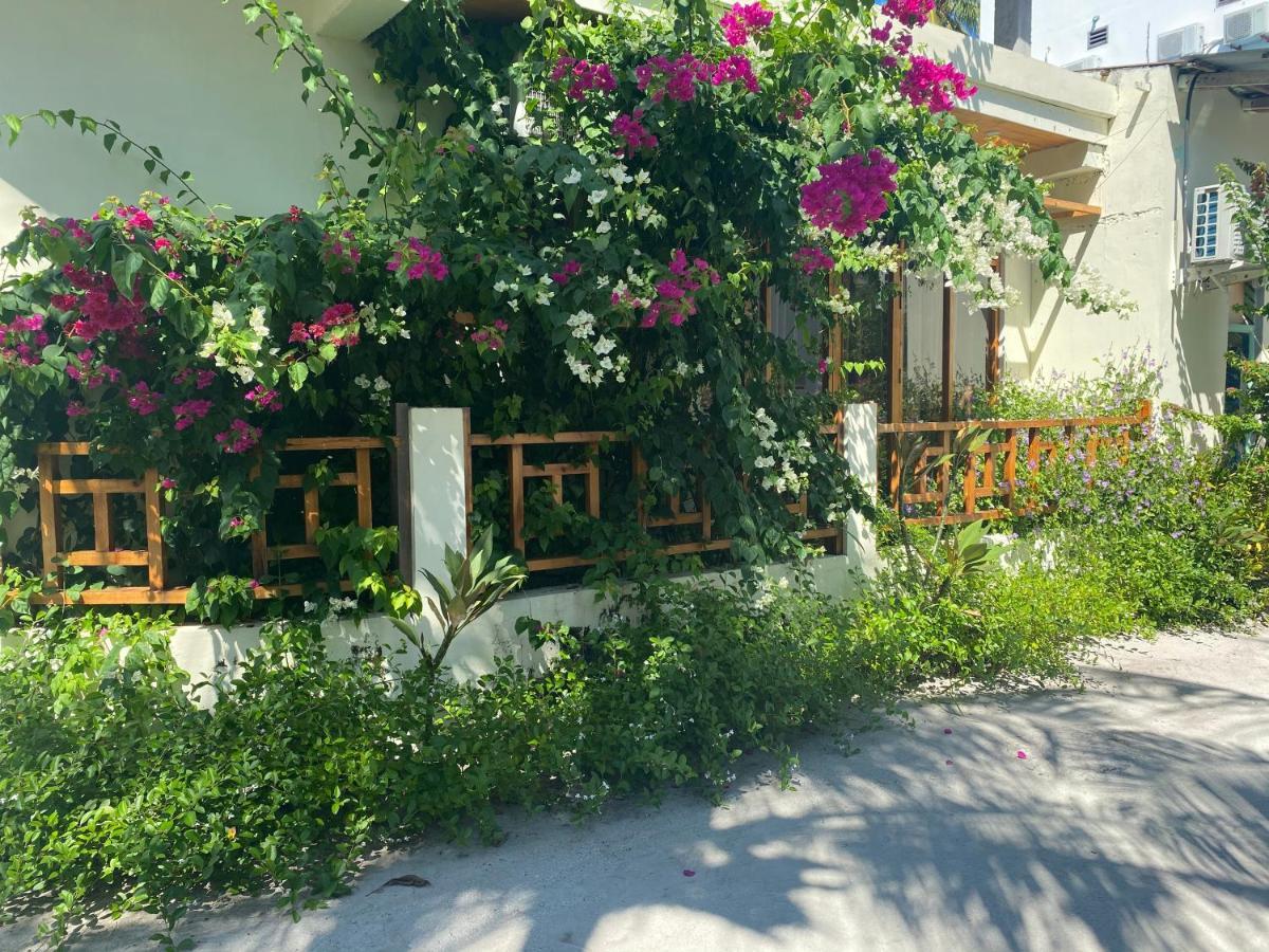 Bougainvillea Inn - Maldives Fulidhoo Buitenkant foto