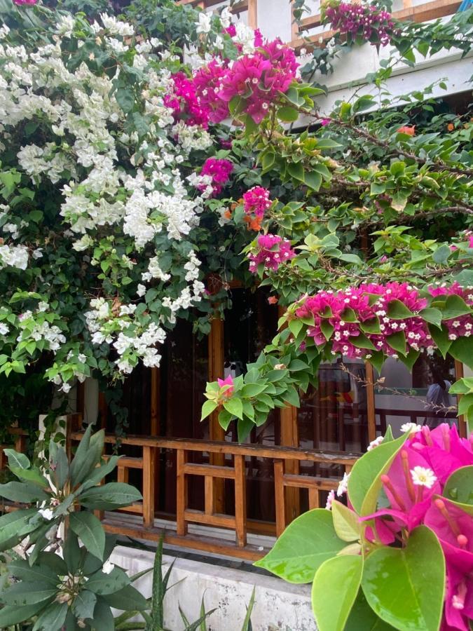 Bougainvillea Inn - Maldives Fulidhoo Buitenkant foto